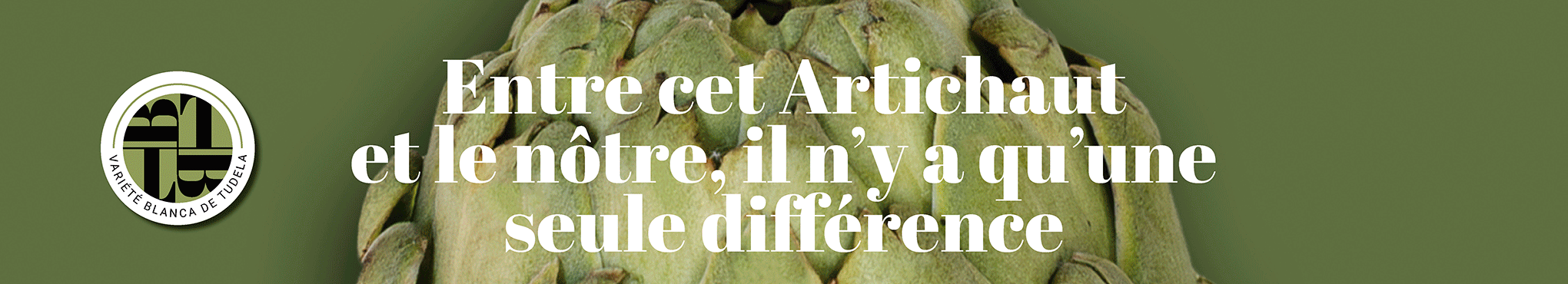 Artichaut